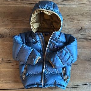 Patagonia Toddler Hi-Loft down hoody